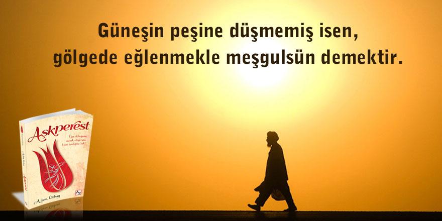 Güneşin peşine düşmemiş isen, gölgede eğlenmekle meşgulsün demektir!

#aşkperest #ademözbay #kitap