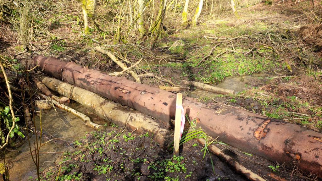 IanJonesEA's tweet photo. Using locally available timber, the @Stroud_RSuDS project seeks to slow water flow & increase infiltration #schimples http://t.co/DwBmWy1bqR