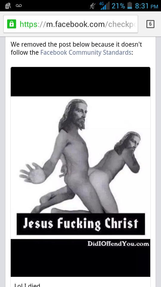 Halu Burd tweet media