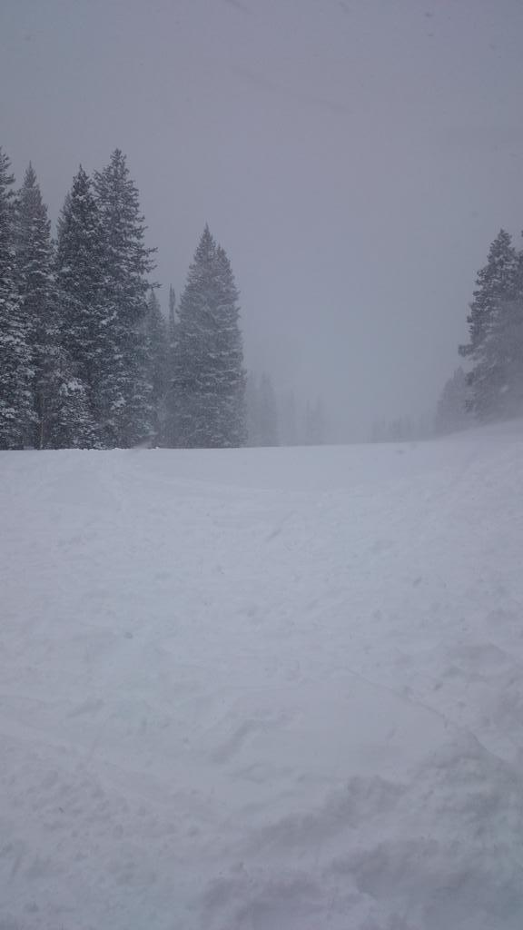 maximusdsome's tweet photo. Tough day at the office http://t.co/O2YCkK3mfk
