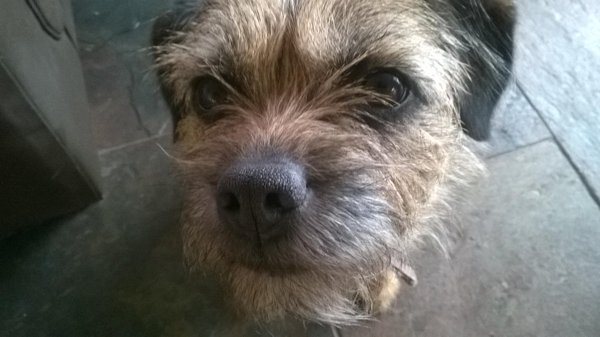 Miss Fizzy tweet media