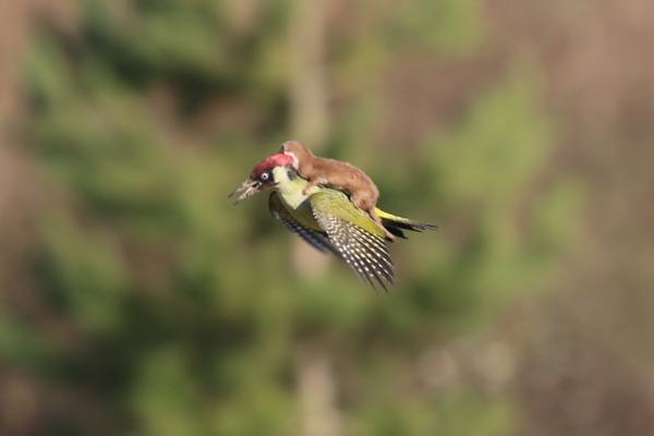 people's tweet photo. This is EASILY the best photo of 2015 http://t.co/TdWVQ24Qcv http://t.co/pZMjZ8PzW2