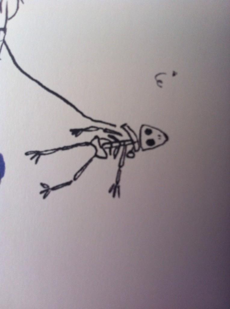 Had a little lesson in life and death yesterday. "Mom that frog is dead like ours" RIP Squishy