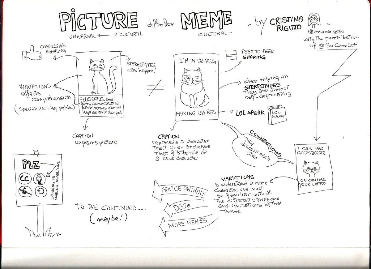AcademicCat's tweet photo. @cristinarigutto 's sketchnote of a #visualsci lesson at #mcsunipd about #memes and #kittens @loreleiberis @conclapo http://t.co/2An1n27rrI