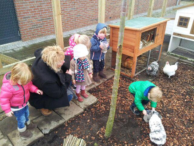 kcPoortugaal's tweet photo. Druk met het verzorgen van de dieren . http://t.co/9xPY4zl5RJ