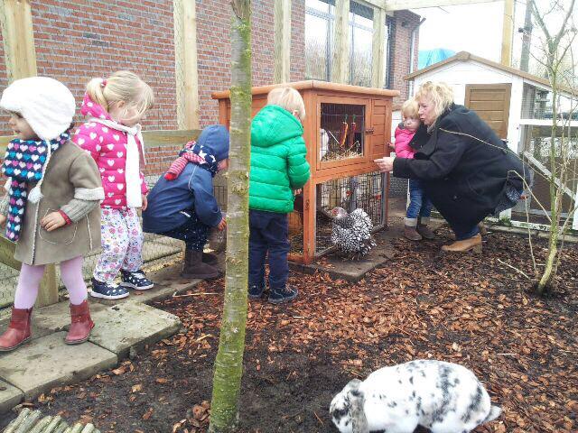 kcPoortugaal's tweet photo. Druk met het verzorgen van de dieren . http://t.co/9xPY4zl5RJ