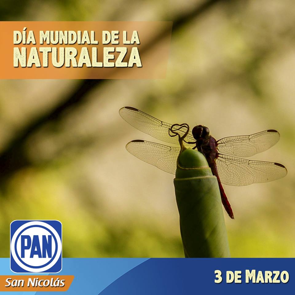 Celebremos la belleza de la flora y la fauna que habita sobre nuestro planeta, 3 de Marzo #DíaMundialDeLaNaturaleza