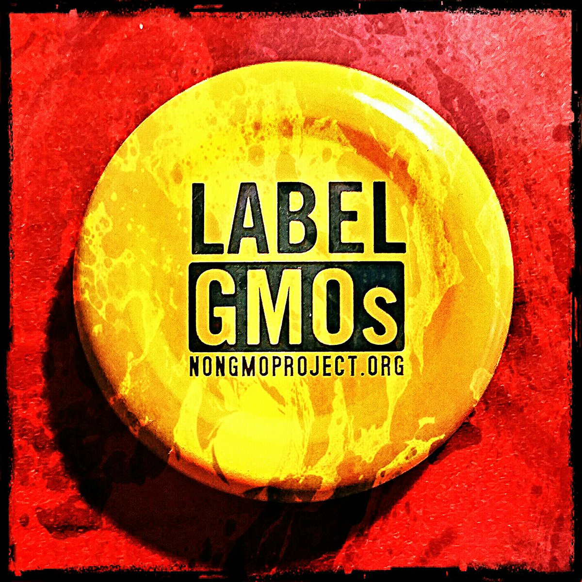 ADevotedYogi's tweet image. Why not #labelgmos!?!

Please favorite and #reTweet if you agree.  Thank you

- Namaste