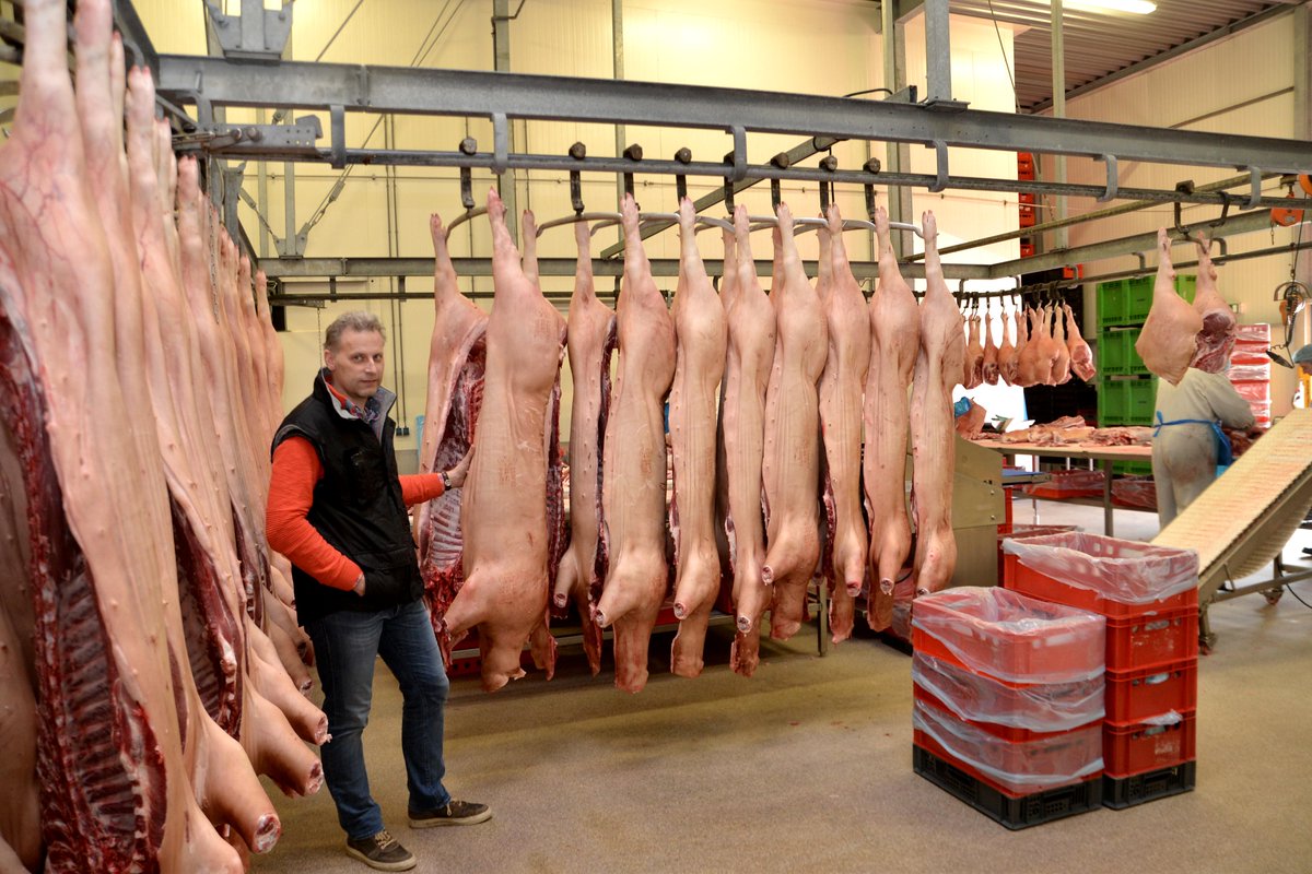 Vleesgroothandel Vlees.nu Wolvega verkoopt nu ook diervriendelijke varkensvlees Friberne aan slagers in Nrd Nederland