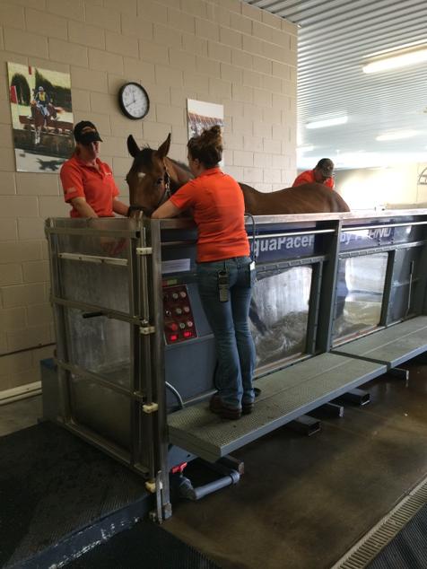 Woody working out on the Aqua treadmill #tooflatinFlorida