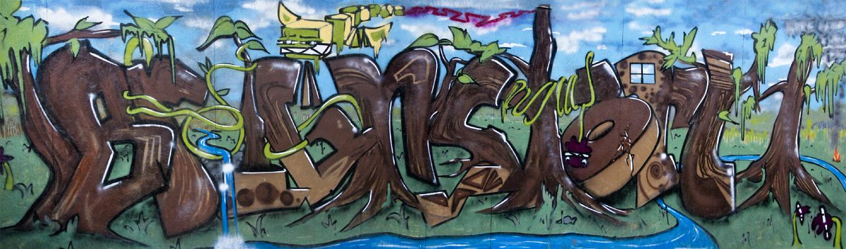 a mural i did at #fireupfieldfest #breignstorm #baltimore #baltimoreart