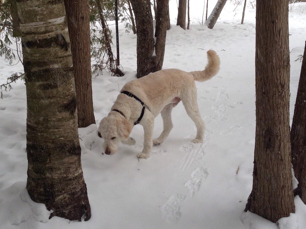 sandygirlmac's tweet photo. Great day for a hike! http://t.co/NcGSj8msh6