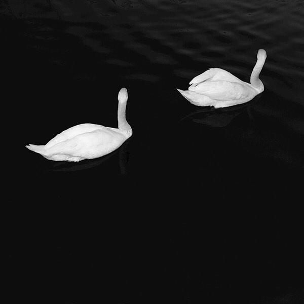 MCNewsSource's tweet image. RT for "Adore You" by Miley Cyrus, Fav for "Adore" by Cashmere Cat and Ariana Grande.