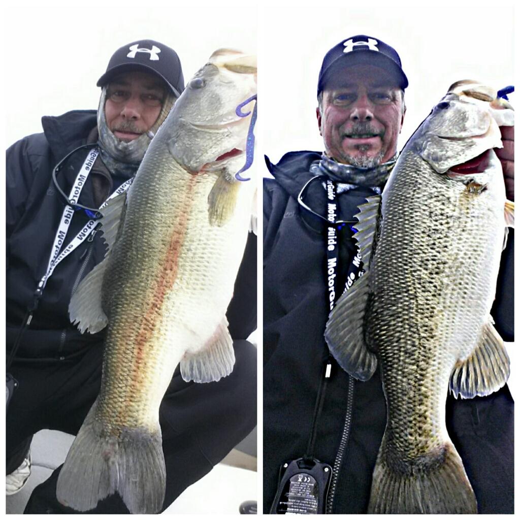 RdRickdenton55's tweet photo. Bed #bass that makes two #bassfishing #bigbass #fishing #largemouth #powerpole #watersports #lures #basspro #bassin http://t.co/rRTOLJ6xox