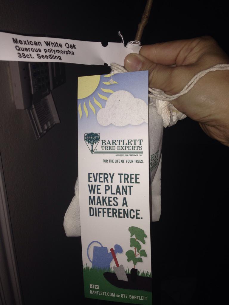 elizabethrvas's tweet photo. @MsMendoza19 every tree we plant makes a difference @AliefScience #plants #oaktrees #sneedRocks http://t.co/BsHLXnZOBy