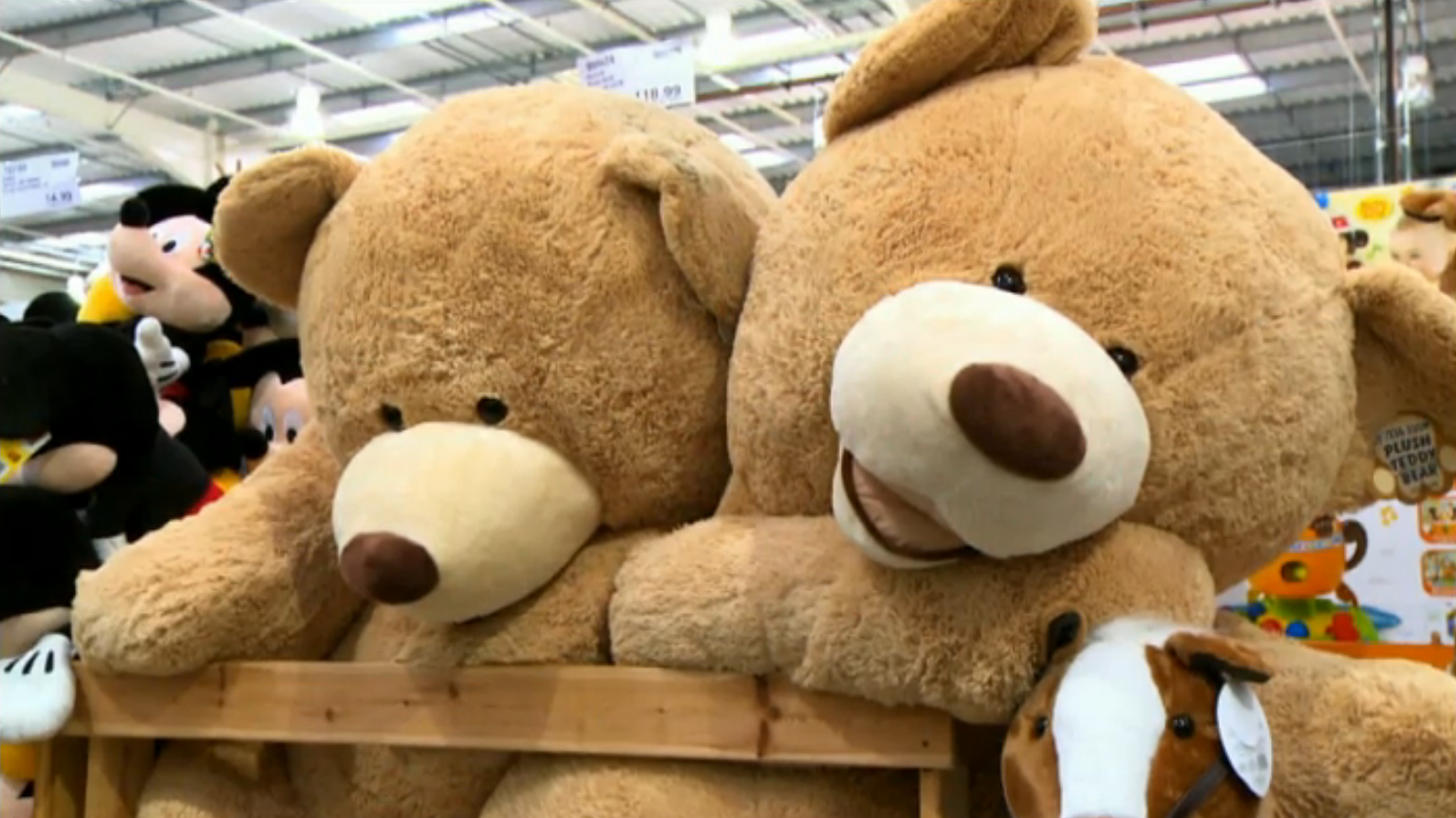8ft on sale stuffed bear
