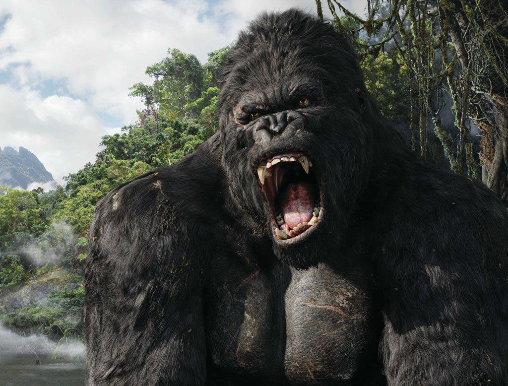 sbgorillaboi's tweet photo. Think about all the wonderful gorillas the world of cinema has handed to us…can we just let this die? http://t.co/yIyyyTiO7N