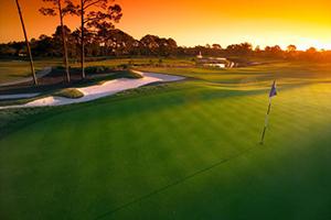 Permalink til innebygd bilde