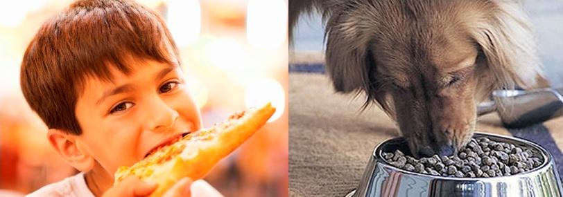 Purina Sued Over Dog Deaths; Controversial Ingredient Common in Products for Human Consumption naturalhealthcarestore.com/shop/purina-fo…