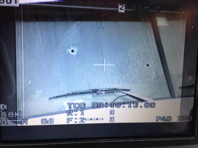 View image on Twitter