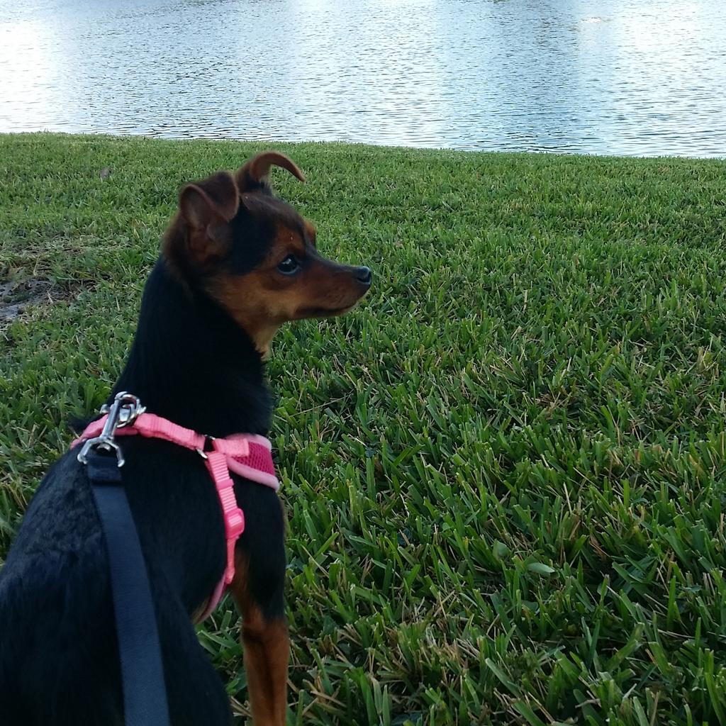 First time by the water