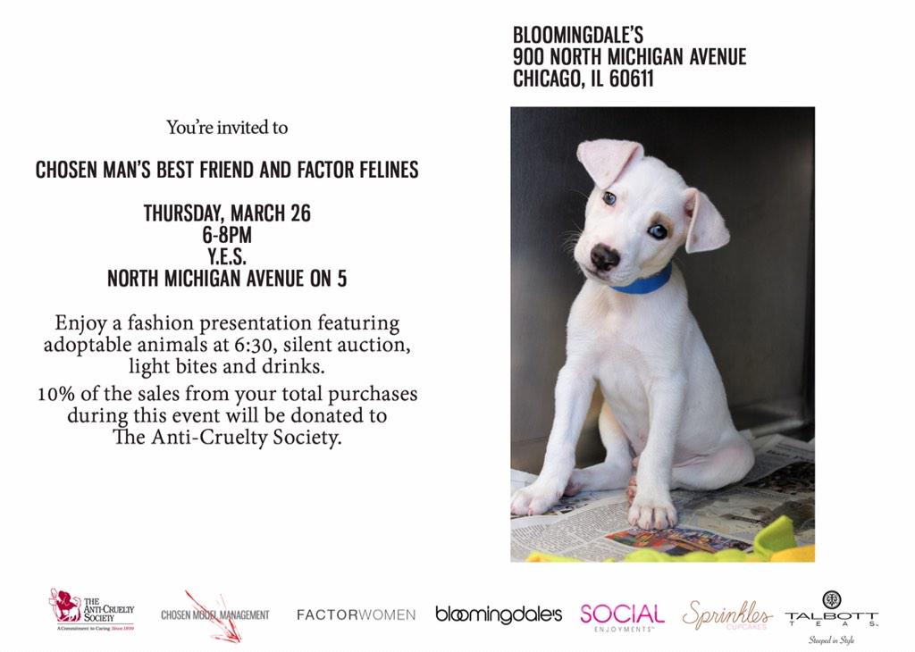 BridgetHalanski's tweet photo. C ya @Bloomingdales to support @AntiCruelty & see Spring Trends on #FactorRunway Models! @FactorWomen @ChosenModels http://t.co/wXzdpQDBEE