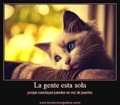 TamiBelenS's tweet photo. Eso es verdad :) http://t.co/f6gtnIiSfR