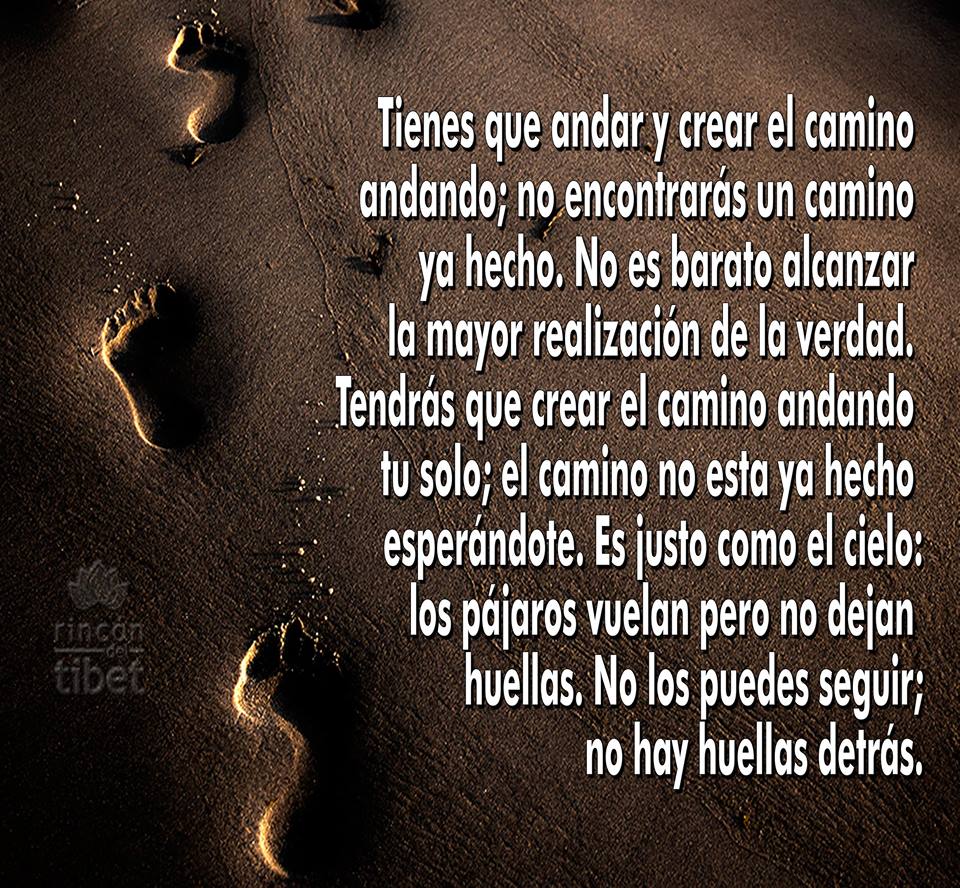  CITAS CELEBRES, DESMOTIVACIONES...... - Página 34 B_Nmry8WsAAsRC2