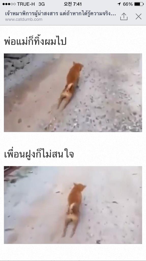 double n tweet media