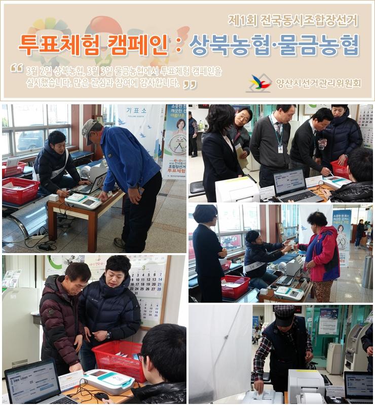 yangsannec tweet picture