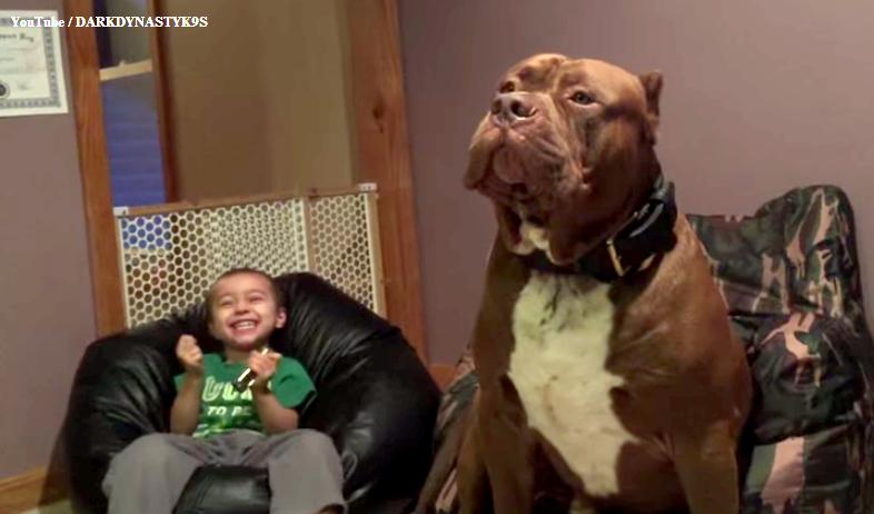 Zobacz obraz na Twitterze