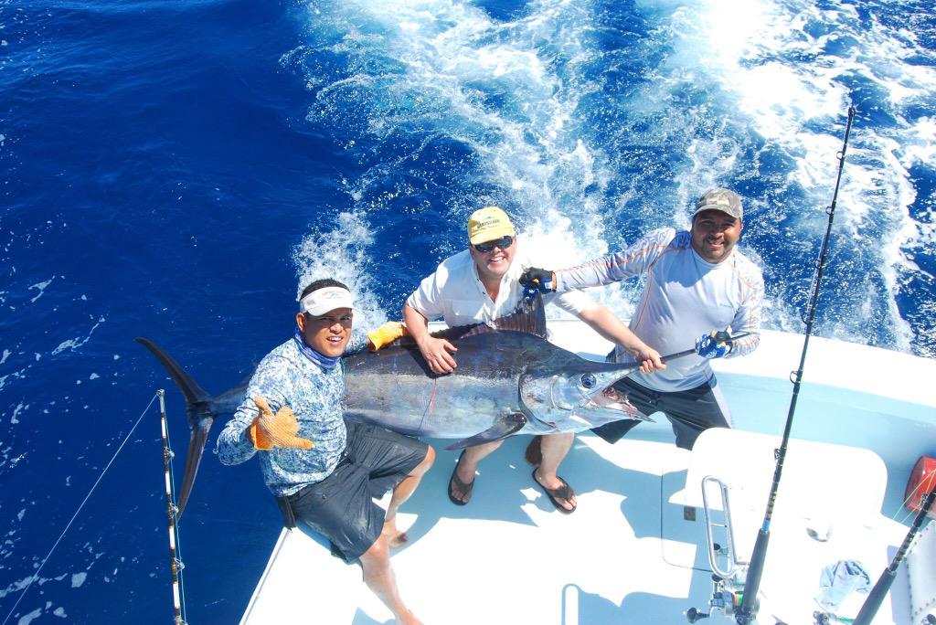 CaptHookFish's tweet photo. Raised 30 out of 40 today including 2 blues. #capthookfish #guatemalafishing #Guatemala http://t.co/GfQk9v3ALO