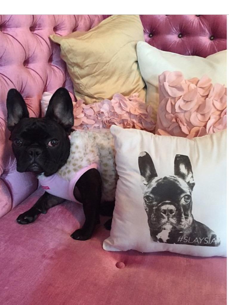 Gypsymole's tweet photo. Asia: Making this special appearance from my Batpig-cave to greet all my minions. The password is #SLAYSIA @sloaner7 http://t.co/oNHoyMsyKz