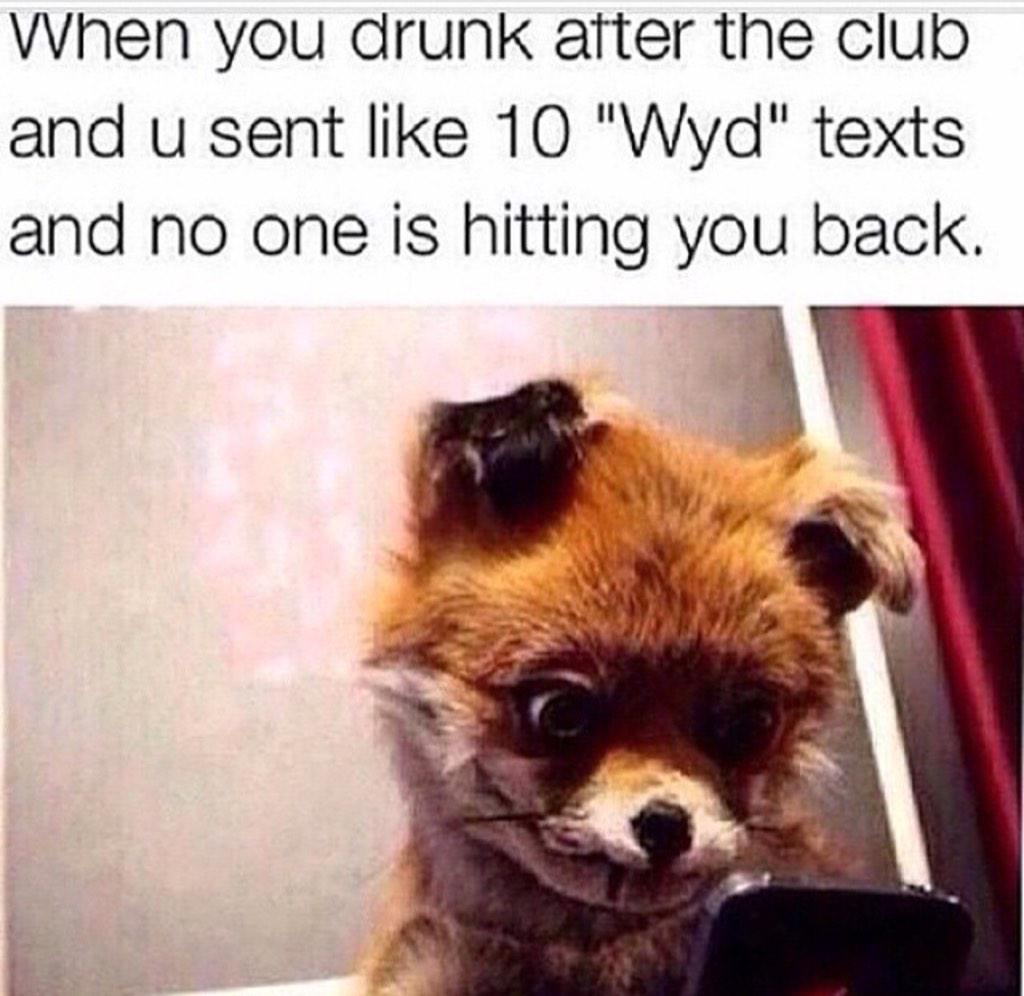 A_Ceelos's tweet image. 100% me