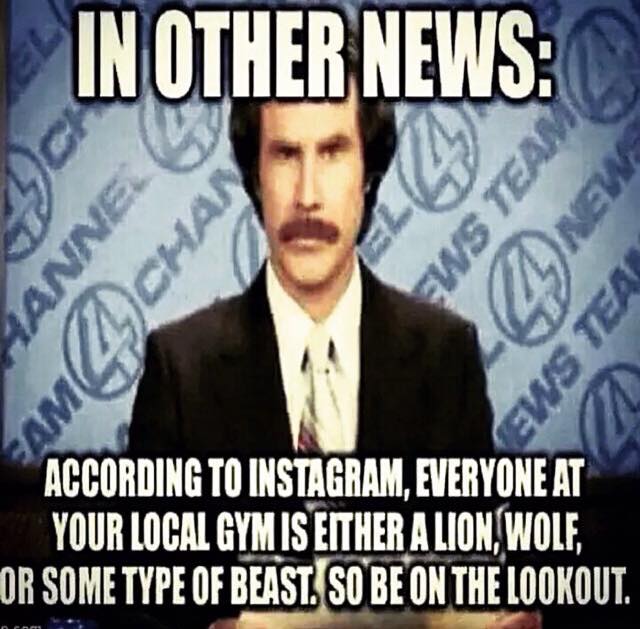 RoBodyBuilding's tweet photo. Hahaha .... So true ... So called gym rats !!! http://t.co/KxAKTcSszw