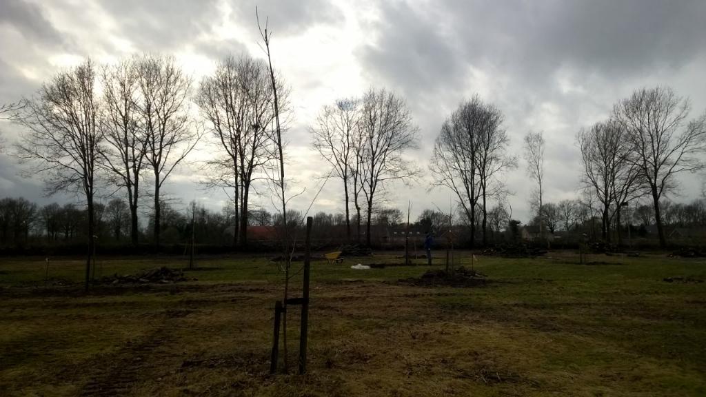 Bron: Jaap Smit,dendroloog