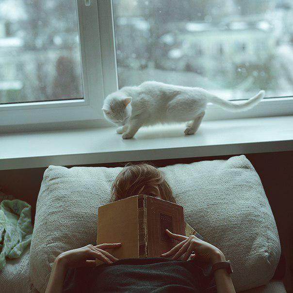StoreEbook's tweet image. #book #girl #cat #reading #bed #cute

ebookstore.mobi