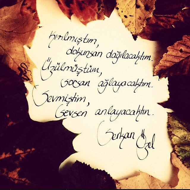 Serkan Özel tweet media