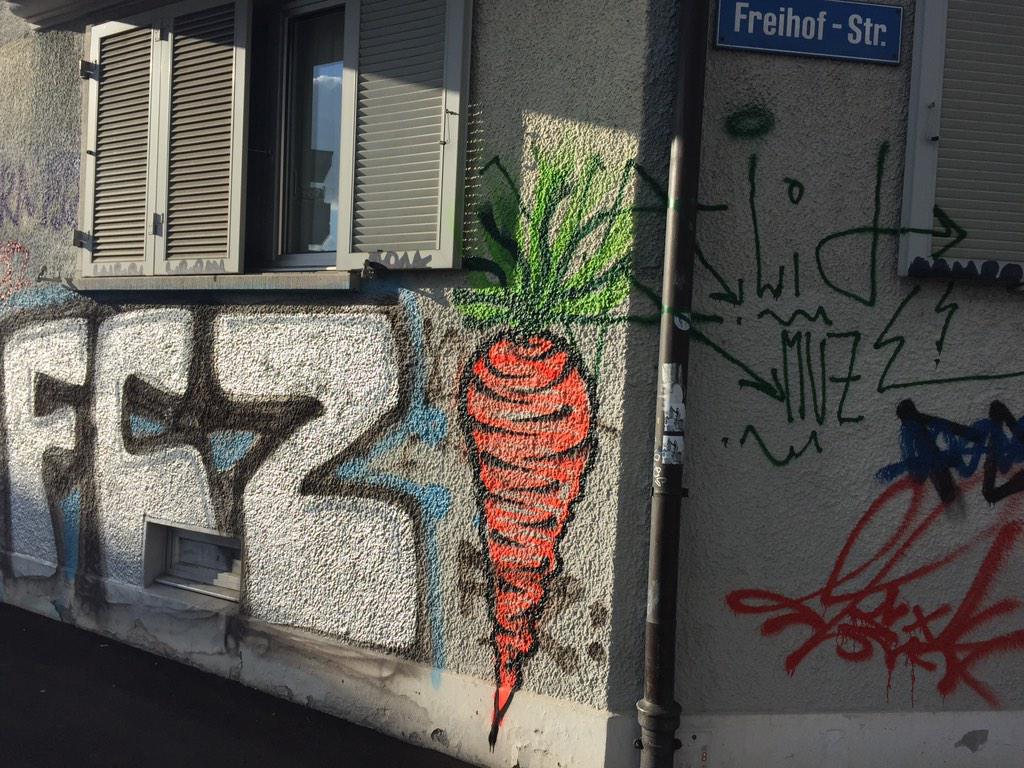 Feldbotanik's tweet image. Fehlgeleitetes Artenförderungsprojekt für #Daucus carota in Züri?! Standort wahrlich +- ruderal! /#SBG200 #ApiaC