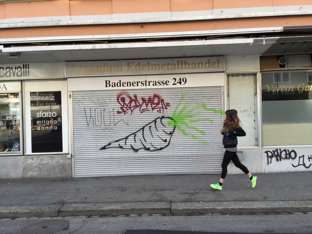 Feldbotanik's tweet image. Fehlgeleitetes Artenförderungsprojekt für #Daucus carota in Züri?! Standort wahrlich +- ruderal! /#SBG200 #ApiaC