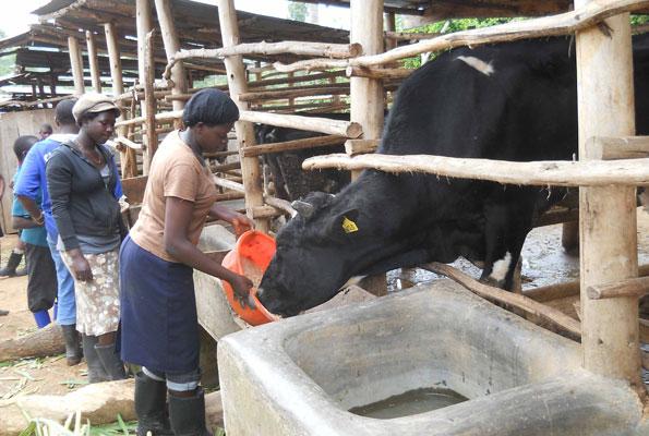 AgencyFT's tweet image. Men and women on farm: A wide gap[monitor.co.ug/Magazines/Farm…]