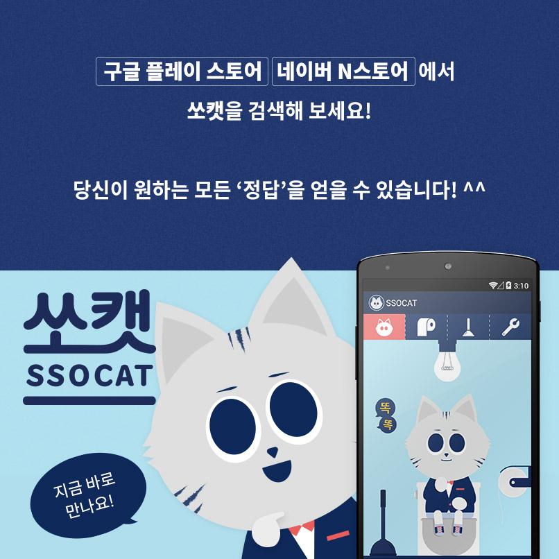 고민해결 고양이 - 쏘캣 tweet media