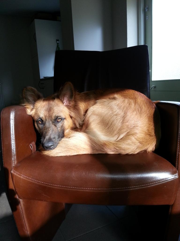 If things start happening, don't worry, don't stew, just go right along and you'll start happening too. Dr.Seuss