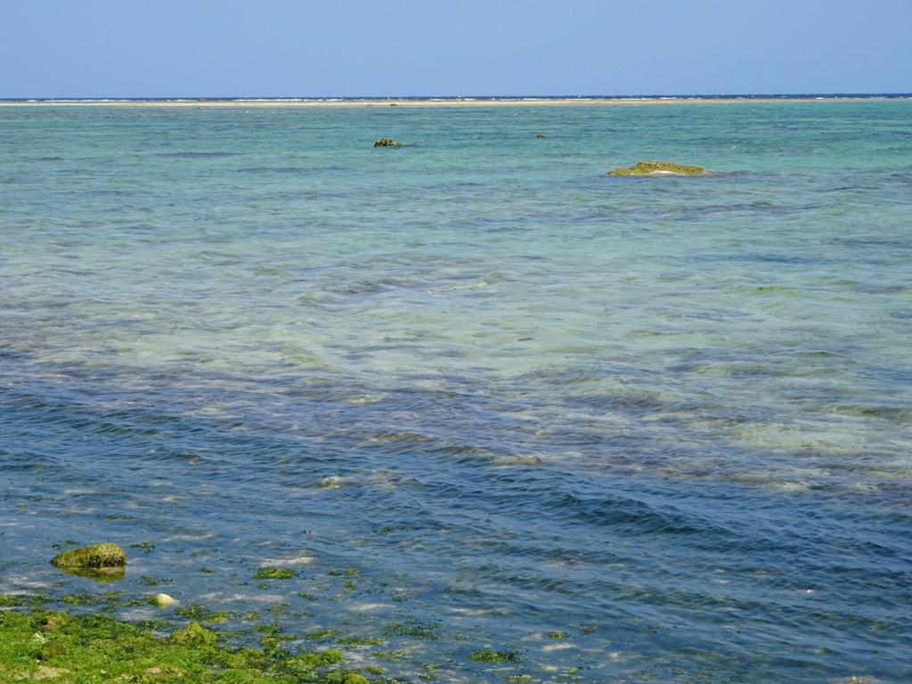 churasango's tweet image. w01.fitcall.net/churasango/