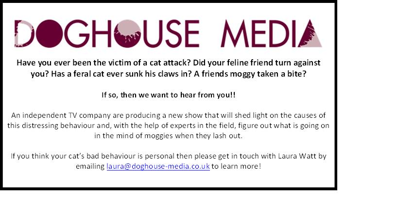 Angrycatshow's tweet photo. @MiramarVets We are looking for people who have suffered a cat attack for a new cat behaviour documentary. Pls RT! http://t.co/xvJX4VToIC