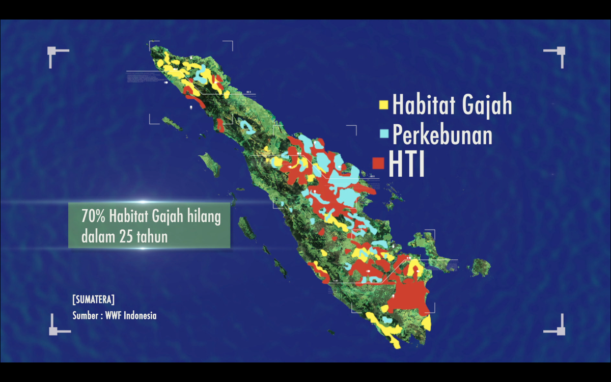 KompasTV's tweet photo. Populasi gajah Sumatera terancam punah krn pembukaan lahan yg jd habitat gajah. Saksikan #CSFile pkl 22.00 WIB http://t.co/wGGeN1BsvN
