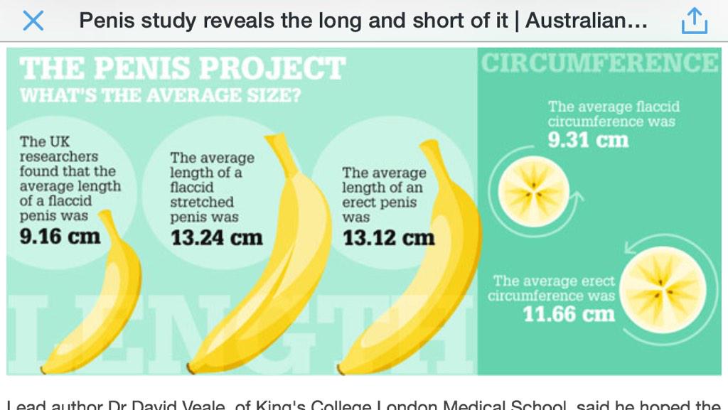 What Is The Average Penis Size In The Uk