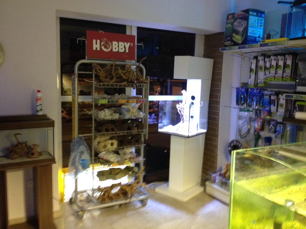 BlueFish Aquariums (@bluefishpetshop) | Twitter