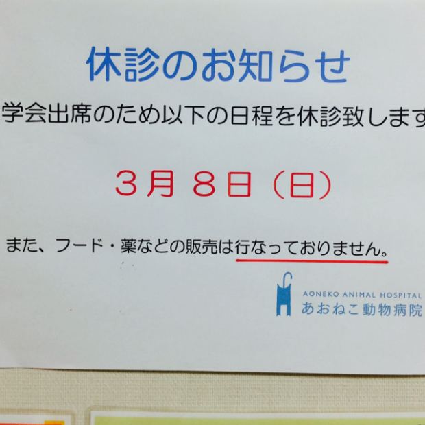 あおねこ動物病院 Aonekoac Twitter
