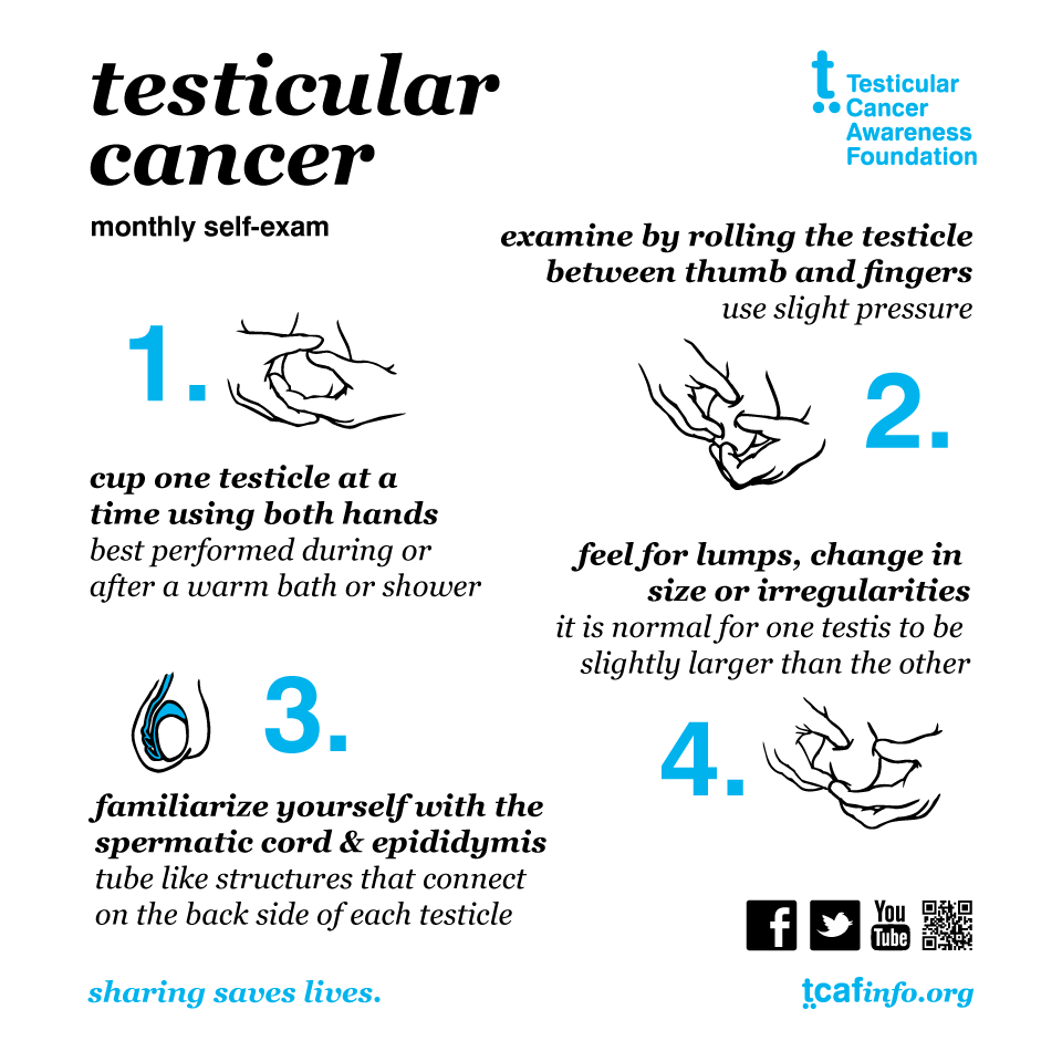 TestesCancer's tweet photo. Hey @ThatKevinSmith! Do you love your nuts? Please retweet our testicular self-exams reminder. Help save lives! http://t.co/kriH8ZV0H3